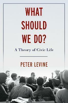 What Should We Do?: A Theory of Civic Life by Peter Levine