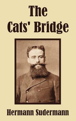 The Cats' Bridge by 