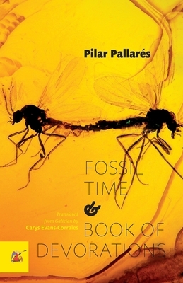 Fossil Time and Book of Devorations by Pilar Pallarés