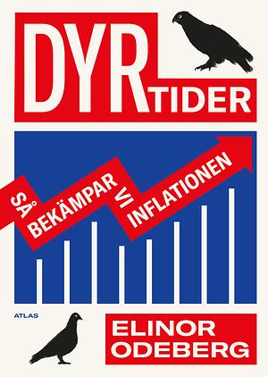 Dyrtider : så bekämpar vi inflationen by Elinor Odeberg