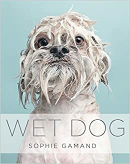 Wet Dog by Howard Hughes