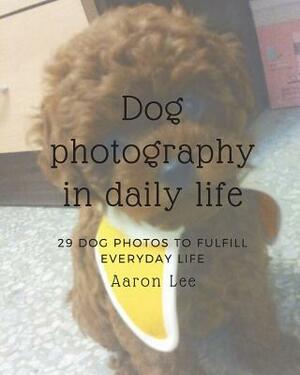 Dog photography in daily life by Aaron Lee