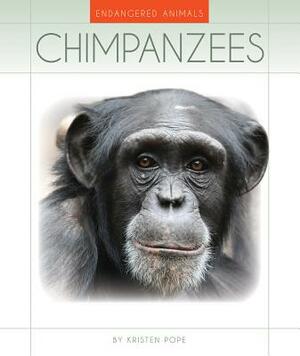 Chimpanzees by Kristen Pope