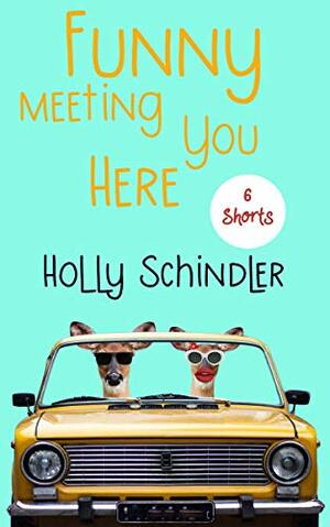 Funny Meeting You Here: 6 Shorts by Holly Schindler