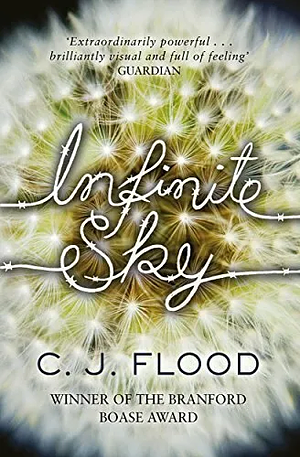 Infinite Sky Pa by C J Flood