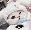 cinnamuzzroll's profile picture