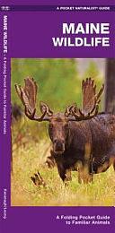 Maine Wildlife: A Folding Pocket Guide to Familiar Species by Waterford Press, James Kavanagh