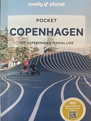 Lonely Planet Pocket Copenhagen 6 by Egill Bjarnason, Abigail Blasi