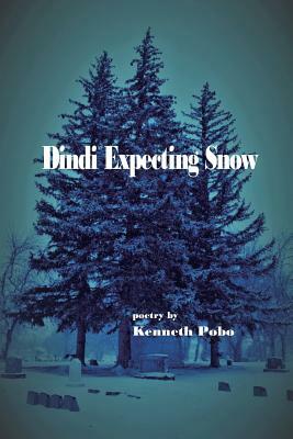 Dindi Expecting Snow by Kenneth Pobo