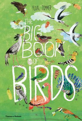 The Big Book of Birds by Yuval Zommer, Barbara Taylor