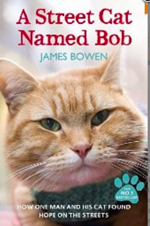 Un chat des rues nommé Bob by James Bowen