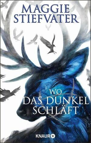 Wo das Dunkel schläft by Maggie Stiefvater