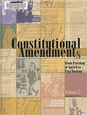 Constitutional Amendments: From Freedom of Speech to Flag Burning: 002 by John Sousanis, Sara Pendergast, Tom Pendergast
