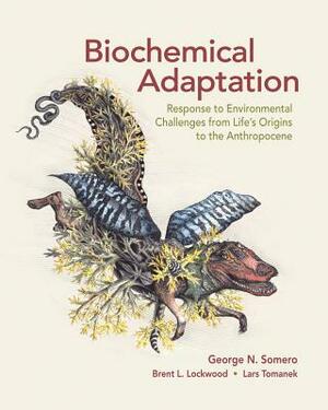 Biochemical Adaptation: Response to Environmental Challenges from Life's Origins to the Anthropocene by Brent L. Lockwood, Lars Tomanek, George N. Somero