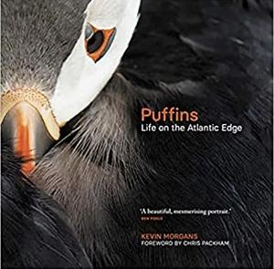 Puffins: Life on the Atlantic Edge by Kevin Morgans