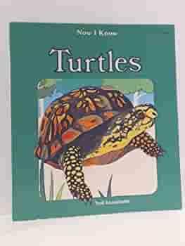 Turtles by Janet Craig