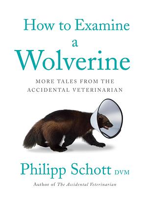 How to Examine A Wolverine by Philipp Schott