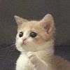 tixinha_15's profile picture