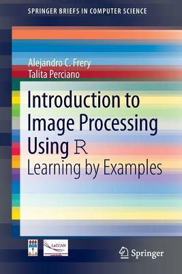 Introduction to Image Processing Using R: Learning by Examples by Alejandro C. Frery, Talita Perciano