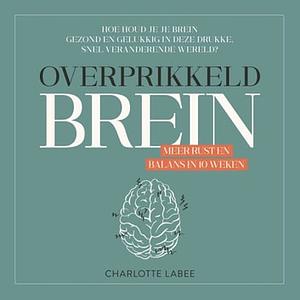 Overprikkeld Brein by Charlotte Labee