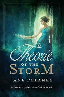 Theorie of the Storm by Jane Delaney
