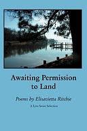 Awaiting Permission to Land by Elisavietta Ritchie