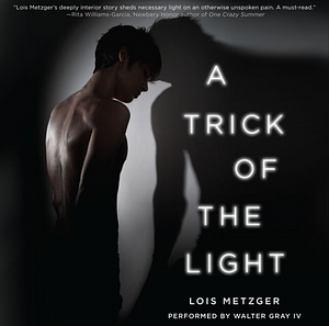 A Trick of the Light by Lois Metzger