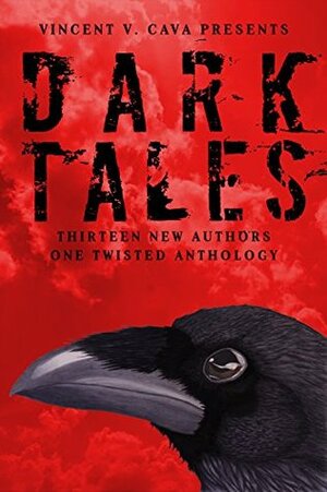 Dark Tales: 13 New Authors, One Twisted Anthology by Dillon Murphy, J.L. Rach, Jessica T. Hopkins, Emilio Alterman, Ryan Winters, Danatblair, Nthato Morakabi, Willow Dempsey, Vincent V. Cava, Ashley Franz Holzmann