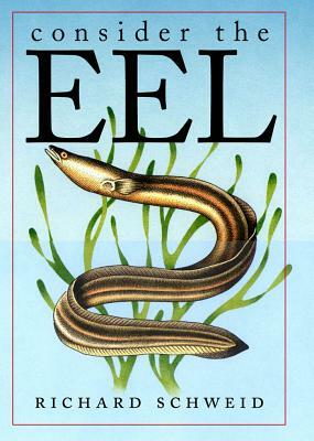 Consider the Eel by Richard Schweid