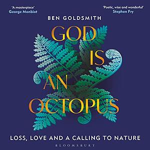 God is an Octopus by Ben Goldsmith