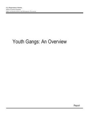 Youth Gangs: An Overview by U. S. Department of Justice