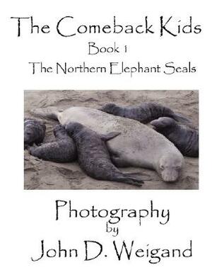 "the Comeback Kids" Book 1, the Northern Elephant Seals by Penelope Dyan