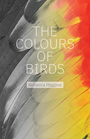 The Colours of Birds by Rebecca Higgins