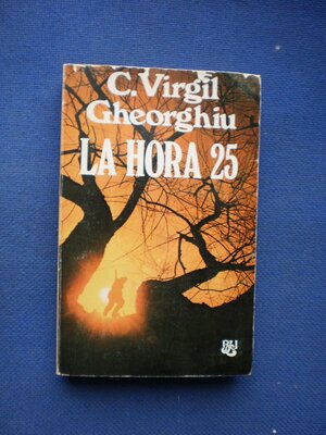 La hora veinticinco by Constantin Virgil Gheorghiu