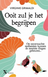 Ooit zul je het begrijpen by Virginie Grimaldi