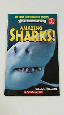 Amazing Sharks! Edition: Reprint by Sarah L. Thomson