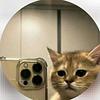 wisps's profile picture