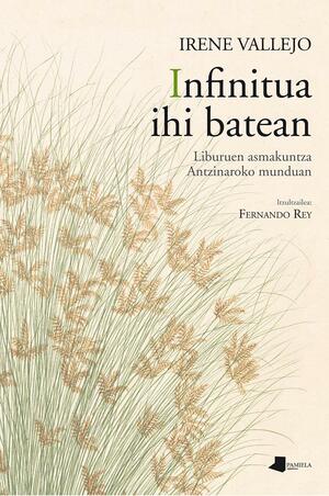 Infinitua ihi batean by Irene Vallejo, Fernando Rey Escalera