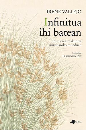 Infinitua ihi batean by Fernando Rey Escalera, Irene Vallejo