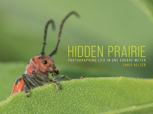 Hidden Prairie: Photographing Life in One Square Meter by Chris Helzer