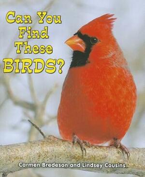 Can You Find These Birds? by Carmen Bredeson, Lindsey Cousins