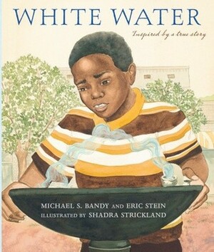 White Water by Shadra Strickland, Michael S. Bandy, Eric Stein