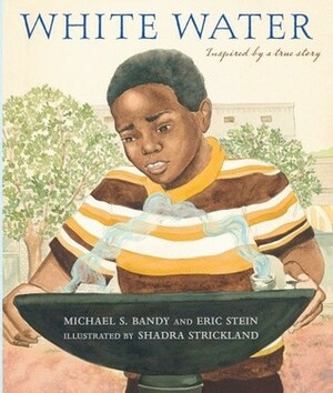 White Water by Shadra Strickland, Eric Stein, Michael S. Bandy