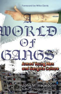 A World of Gangs: Armed Young Men and Gangsta Culture by Mike Davis, John M. Hagedorn