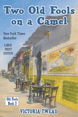 Two Old Fools on a Camel - LARGE PRINT: From Spain to Bahrain and back again by Victoria Twead