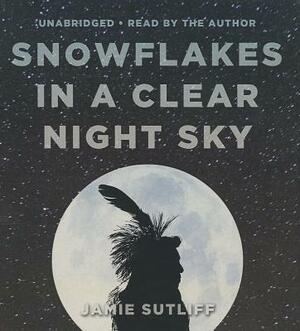 Snowflakes in a Clear Night Sky by 