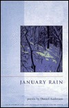 January Rain by Daniel Anderson