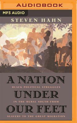 A Nation Under Our Feet: Black Political Struggles in the Rural South from Slavery to the Great Migration by Steven Hahn