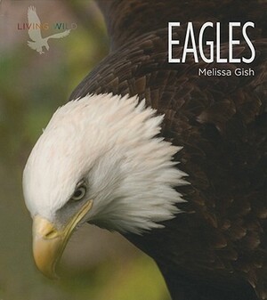 Eagles by Melissa Gish