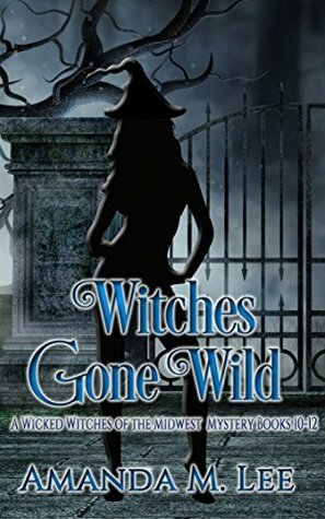 Witches Gone Wild by Amanda M. Lee